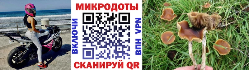 Псилоцибиновые грибы ЛСД кракен зеркало Шадринск купить наркоту